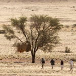 Sossusvlei Desert Lodge