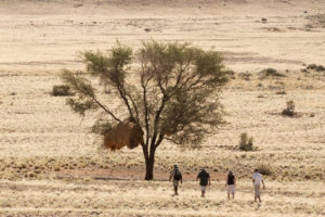 Safari Scapes Sossusvlei Desert Lodge