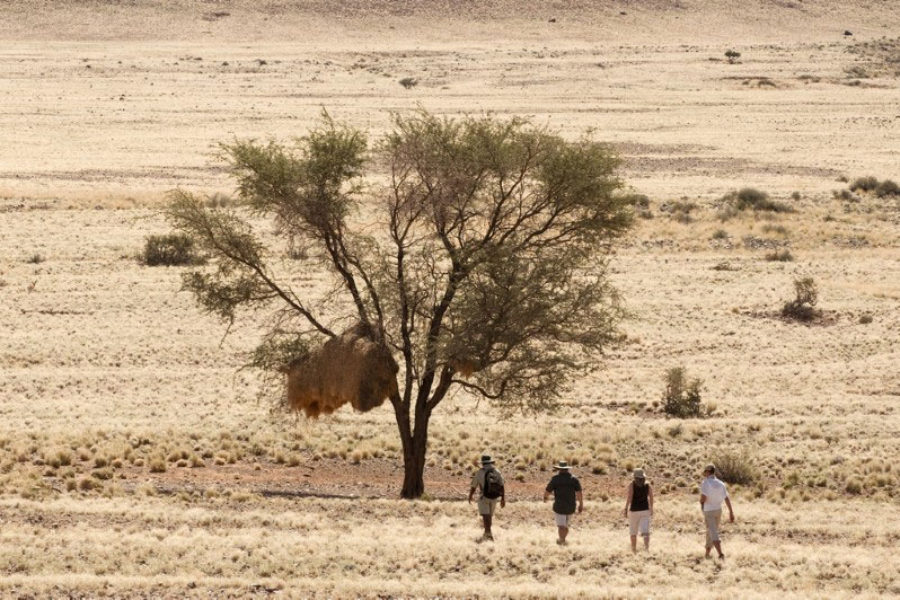 Safari Scapes Sossusvlei Desert Lodge
