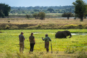 Safari Scapes Ruckomechi