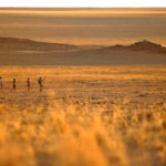 Sossusvlei Desert Lodge