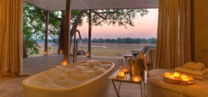 Safari Scapes Chinzombo