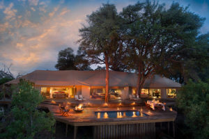 Safari Scapes Botswana Zarafa