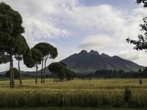 Safari Scapes Destinations Rwanda