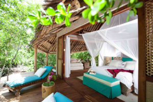 Safari Scapes Mozambique Vamizi Island Lodge
