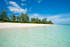 Safari Scapes Mozambique Vamizi Island Lodge