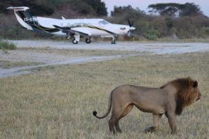 Safari Scapes 09