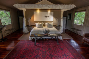 Safari Scapes Botswana Chitabe Camp 08