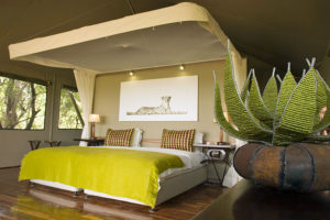 Safari Scapes Botswana Chitabe Camp 12