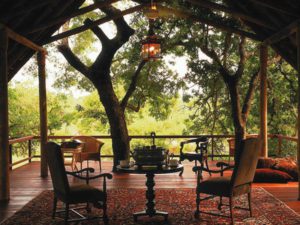 Safari Scapes Royal Malewane & Africa House
