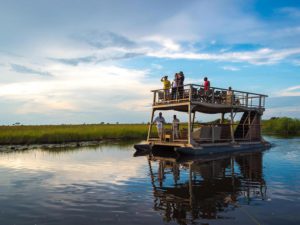 Safari Scapes Kings Pool