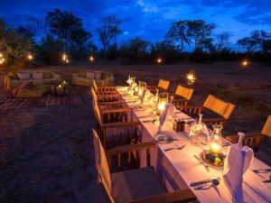 Safari Scapes Kings Pool