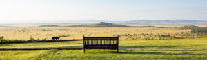 Safari Scapes Destinations