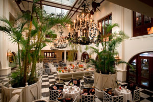 Safari Scapes The Oysterbox