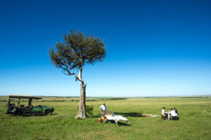 Safari Scapes Kenya Mara Plains
