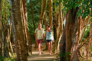 Safari Scapes Seychells Banyan Tree