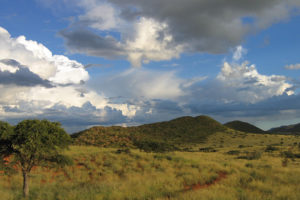 Safari Scapes South African Safari Tswalu