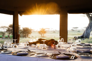 Safari Scapes Tanzania Namiri Plains Camp