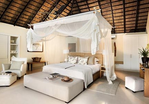 Safari Scapes South Africa