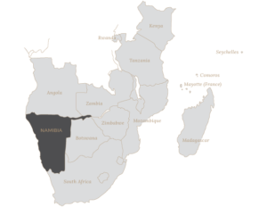 Safari Scapes Namibia