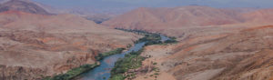 Safari Scapes Be Inspired