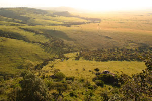 Safari Scapes Kenya Angama Mara